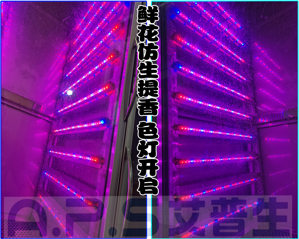 12、植物鮮花低溫萃取精華液專用設(shè)備=鮮花提香色燈開啟.jpg