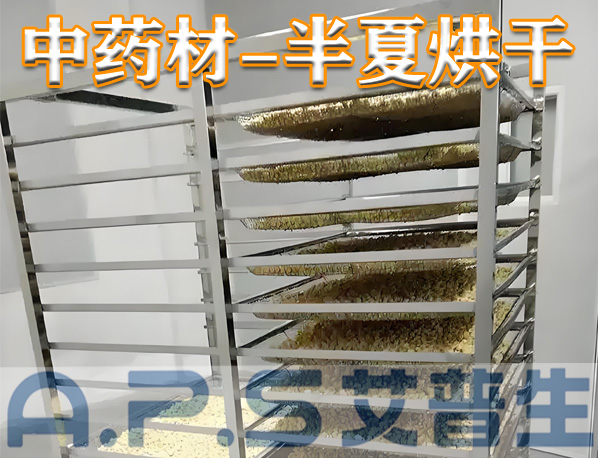 中藥材半夏烘干，除了傳統(tǒng)的烘干方法，首選推薦使用艾普生空氣能熱泵烘干機(jī)