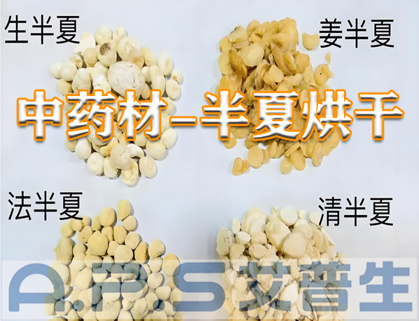 艾普生環(huán)境科技：半夏的烘干方法有哪些？哪一種烘干效果更好？